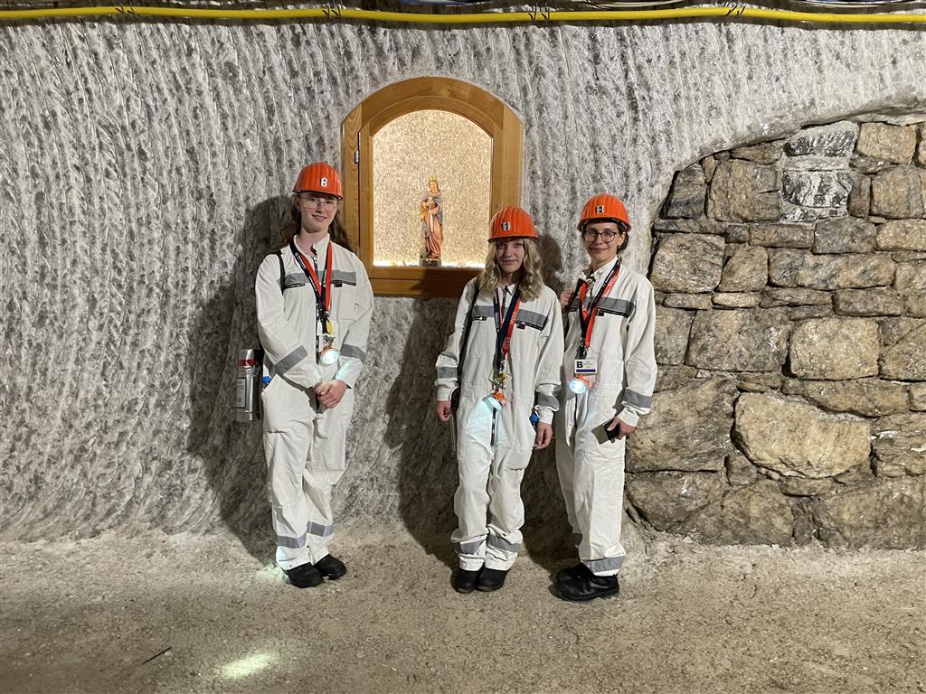 IMG 1539