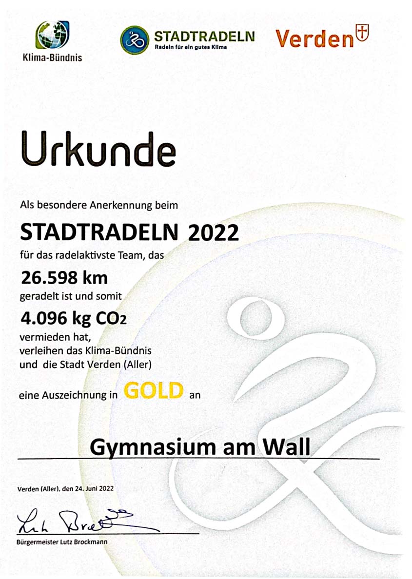 Urkunde 1